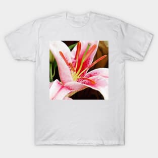 Macro Pink and White Lilly Flower in the Garden T-Shirt